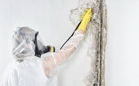 Best Mold Remediation for Healthcare Facilities  in Dover Beaches North, NJ